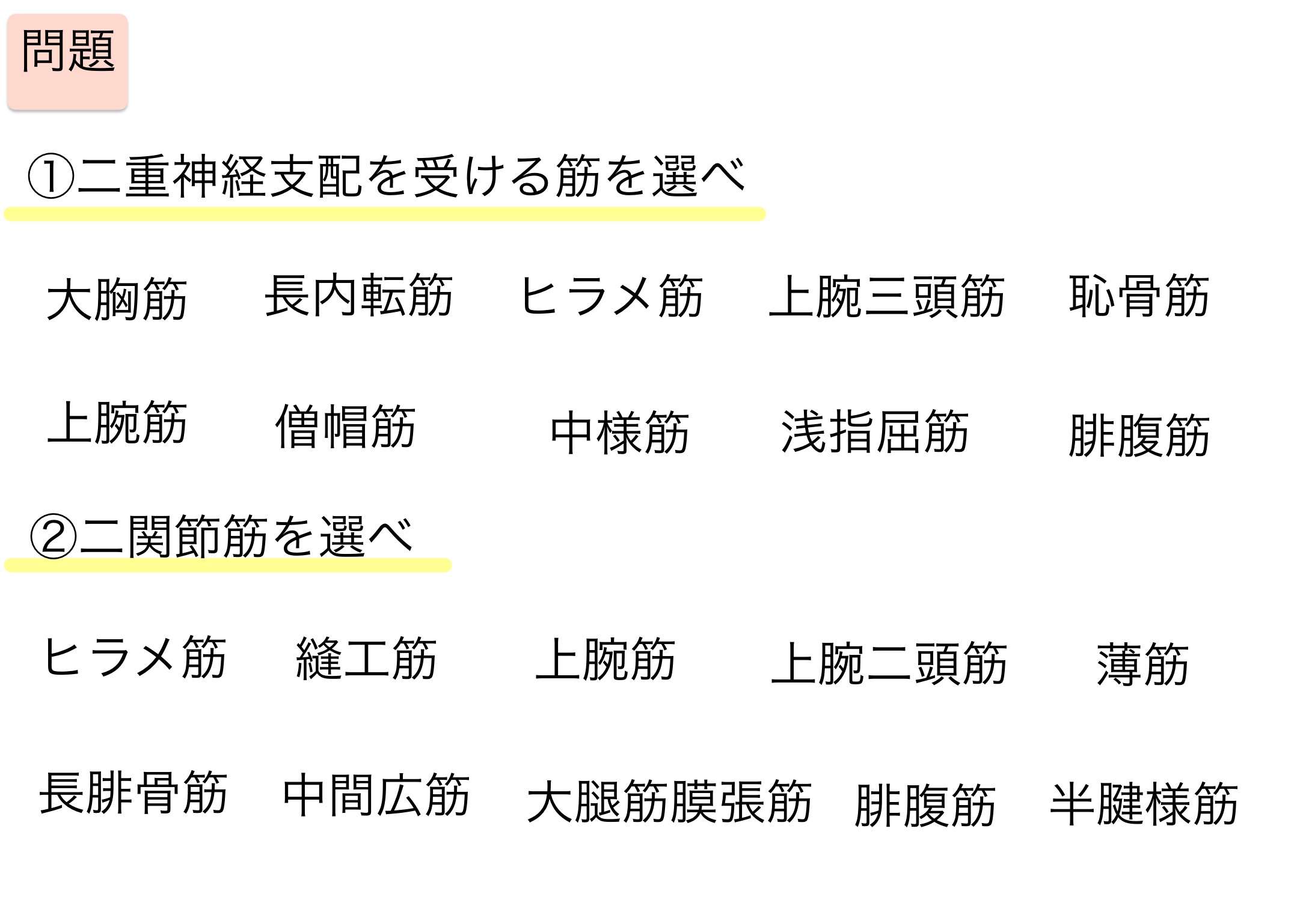 二重神経支配と二関節筋の覚え方と語呂合わせ 国家試験対策ノート ちゃんけんlog