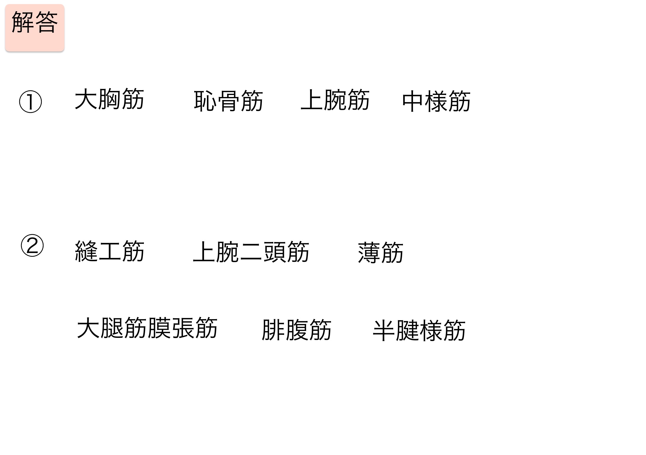 二重神経支配と二関節筋の覚え方と語呂合わせ 国家試験対策ノート ちゃんけんlog