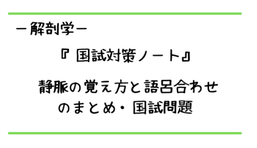 骨格筋の収縮の仕組みと構造についてまとめ 理学療法士国試対策 ちゃんけんlog
