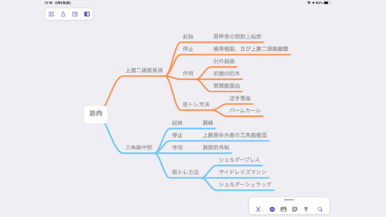 筋肉の起始停止の覚え方と暗記方法 理学療法士を目指している学生にもオススメ ちゃんけんlog