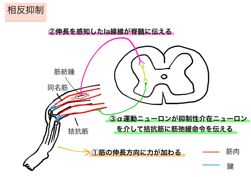 テストはどのように実施されますか?